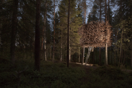 treehotel-birdsnest-exterior