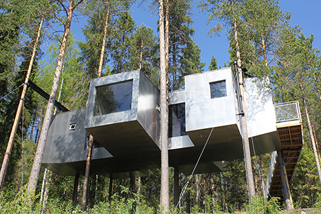 Treehotel: Dragon Fly Room