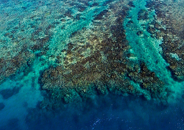 Teahupoo Aerial Reef View
