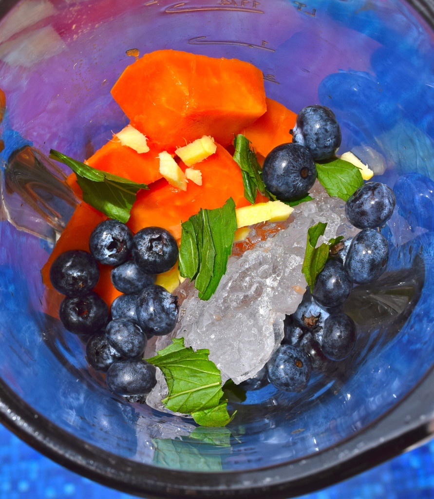 Papaya, mint, blueberry, ginger and ice in blender